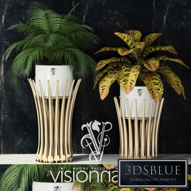 Visionnaire Panarea IPE Cavalli