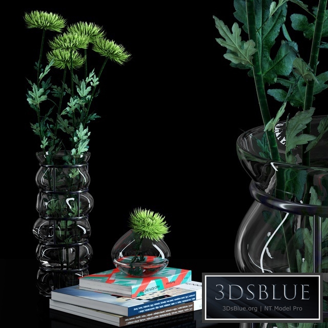 Green Spider Mom Asters Set