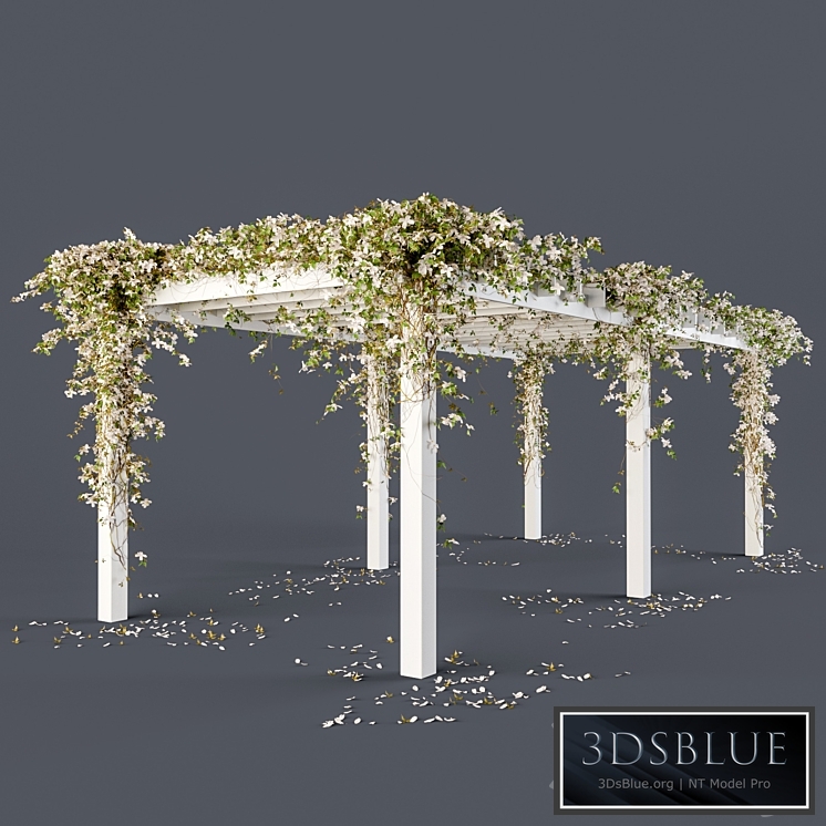 Pergola with flowers