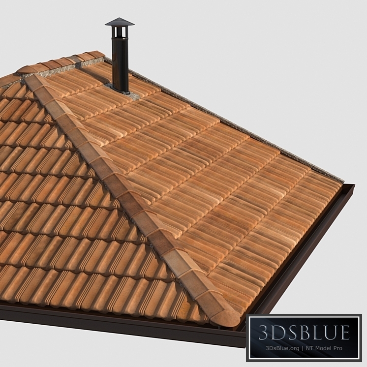 French tile roof