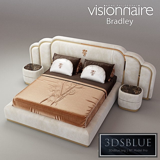 visionnaire bradley
