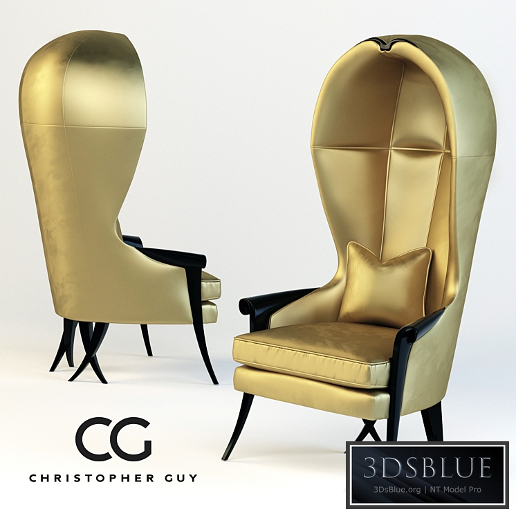 Christopher Guy Morgins