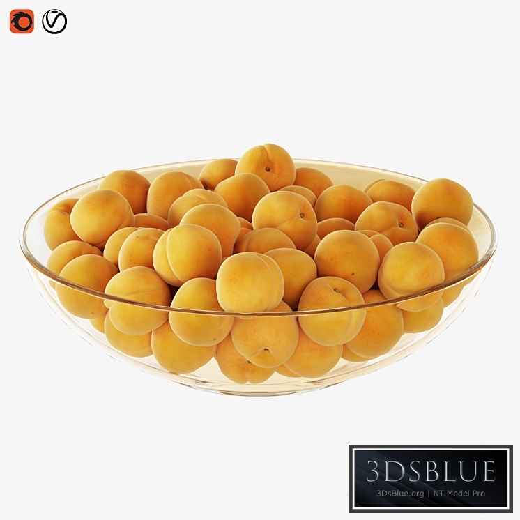 Apricots in a vase