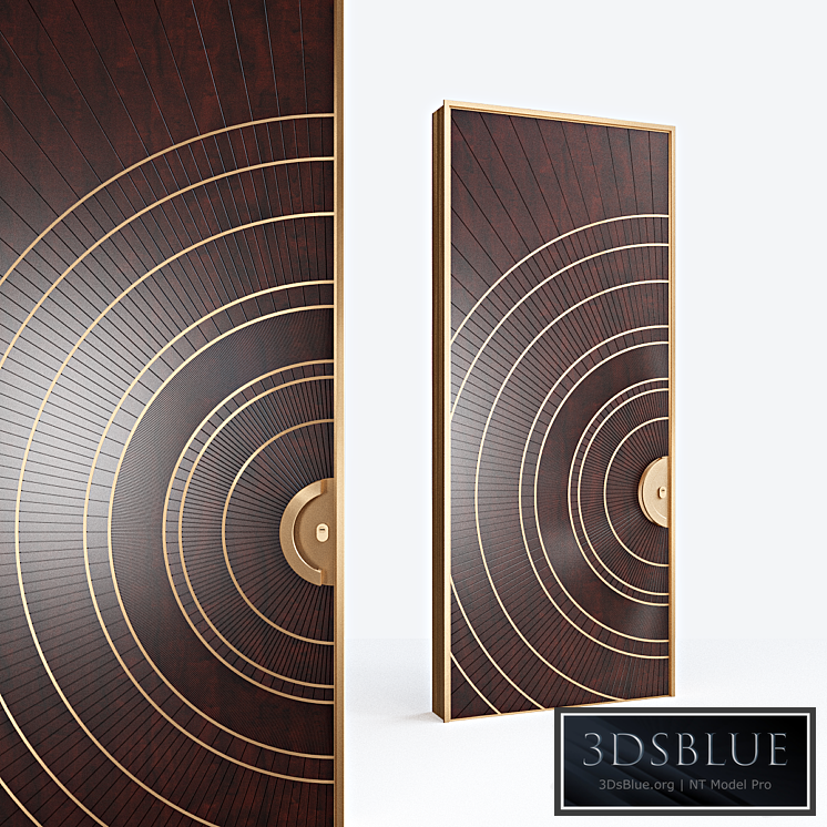 Entrance door / Entrence door