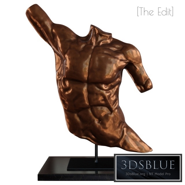 Laocoon bronze torso