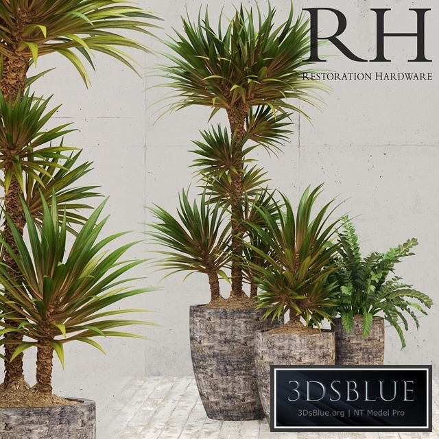 Restoration Hardware corso planter