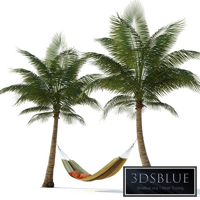 Hammock on palm trees