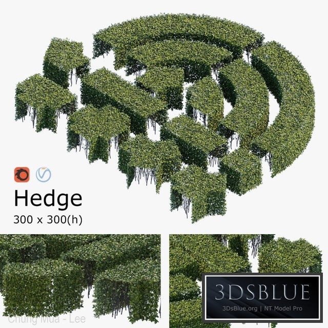 Hedge 3x3