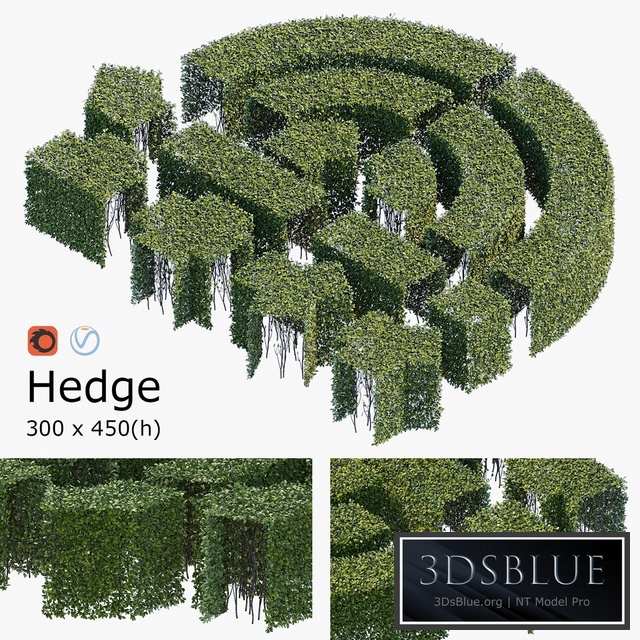 Hedge 3x4.5
