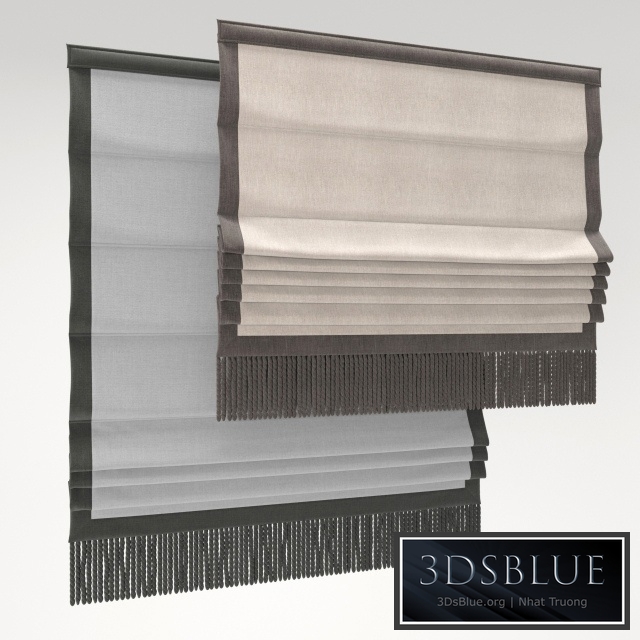 Roman blind 43