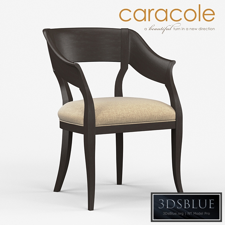 Chair of Bank of england Caracole