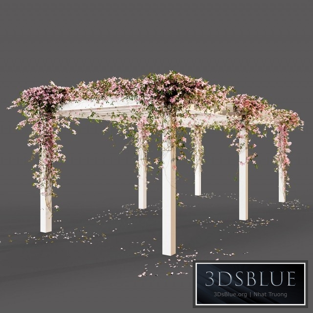 Pergola with flowers