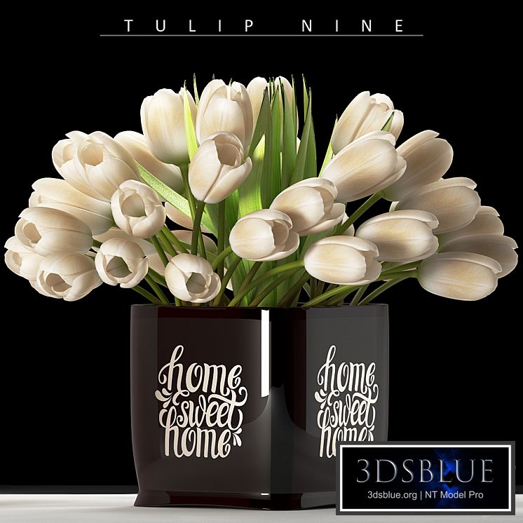 TULIP NINE