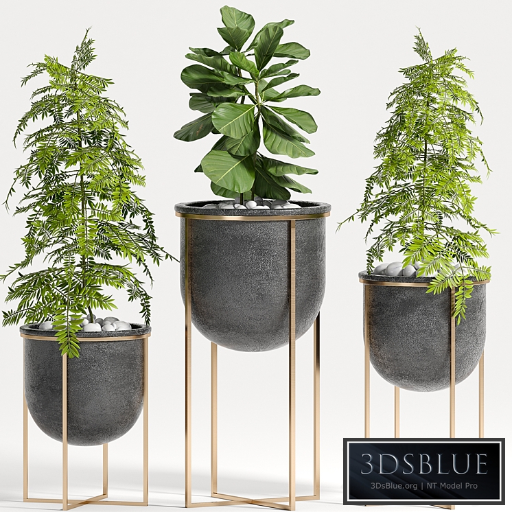 PLANT SET -80