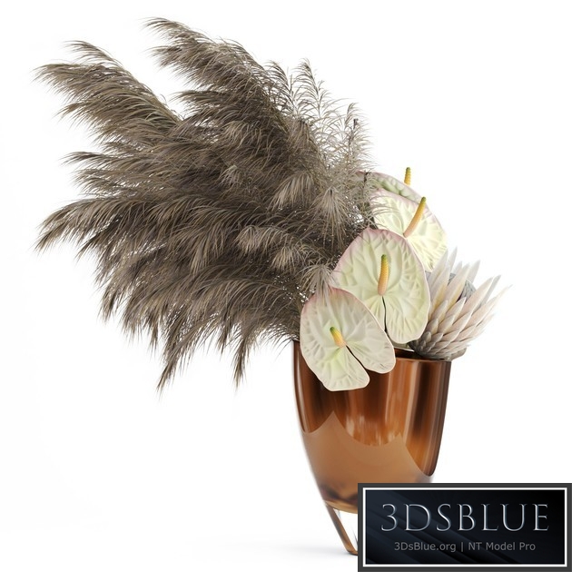 Anthuriums & Protea & Pampas grass