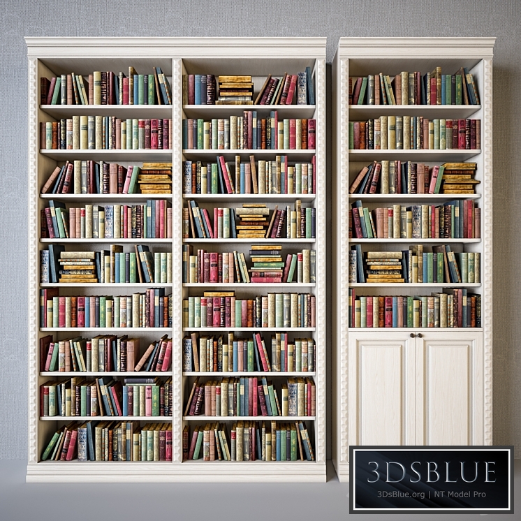Cabinets with classical books