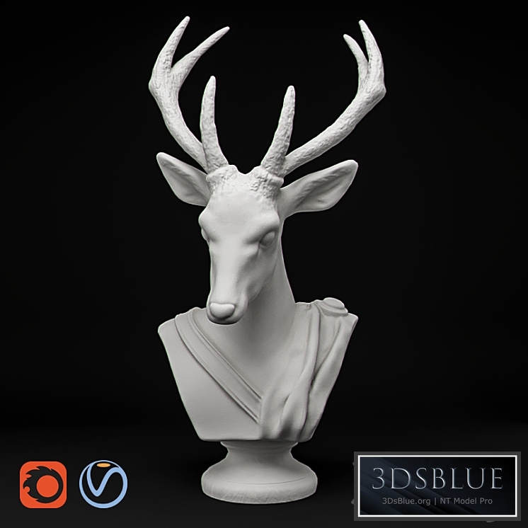 Animal Bust - Noble