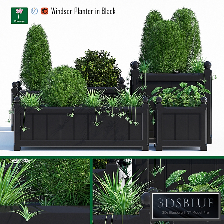 Windsor planter