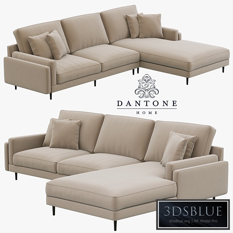 Dantone Home Sofa Portry Modular Two-Section