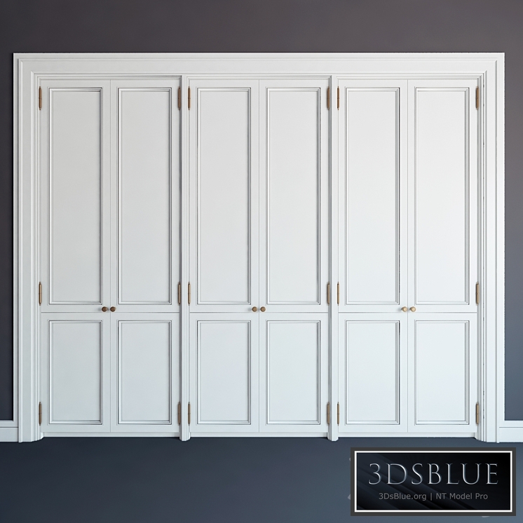 Built-in wardrobe 09 \ fitted wardrobe 09