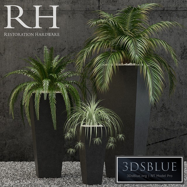 Restoration Hardware salento tapered planter