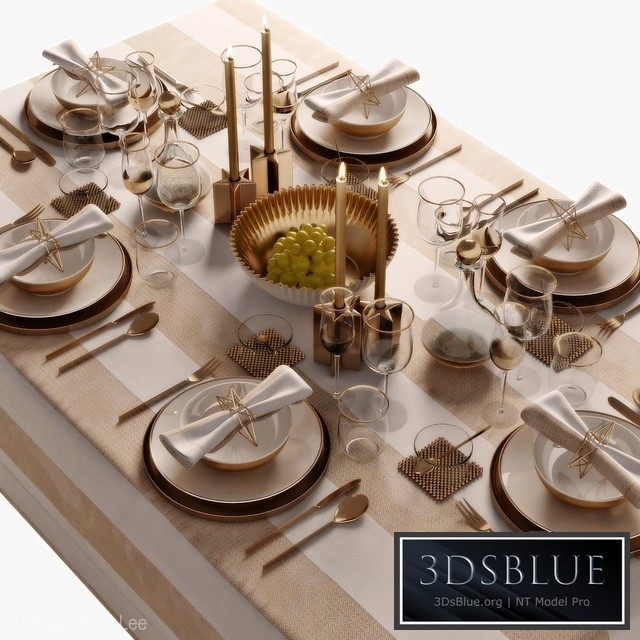 table setting 05