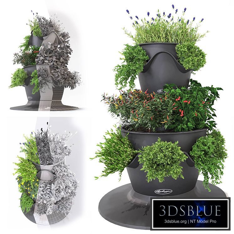 Vegetables and herbs (Lechuza set)