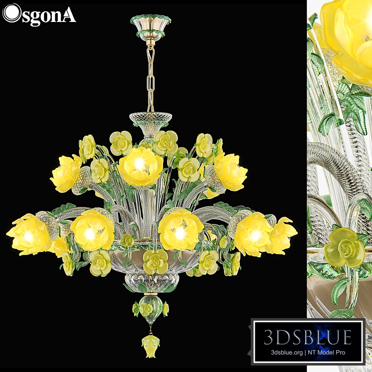 MD_89330-10 + 5_Osgona