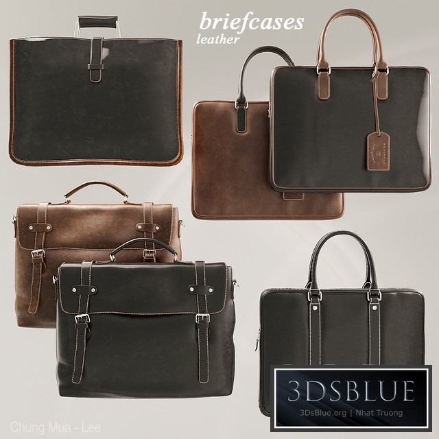 Briefcases Set