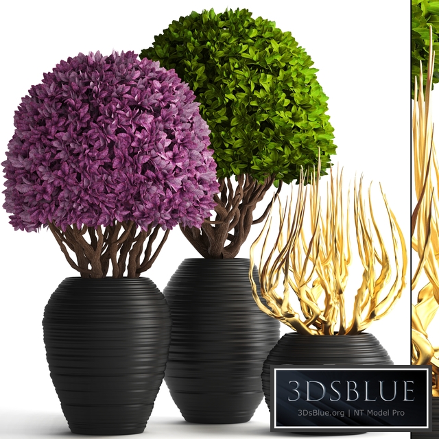 Collection of plants 129. Boxwood, topiary, topiary, decorative vases, decor, golden branches