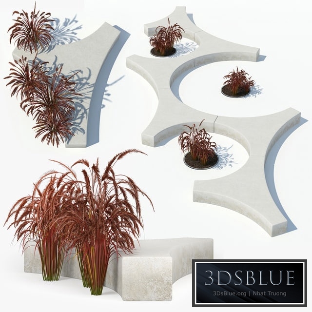 Folia bench Graceful Fountain Grass