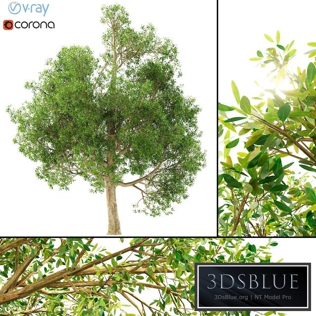 3D model of a tree No. 1