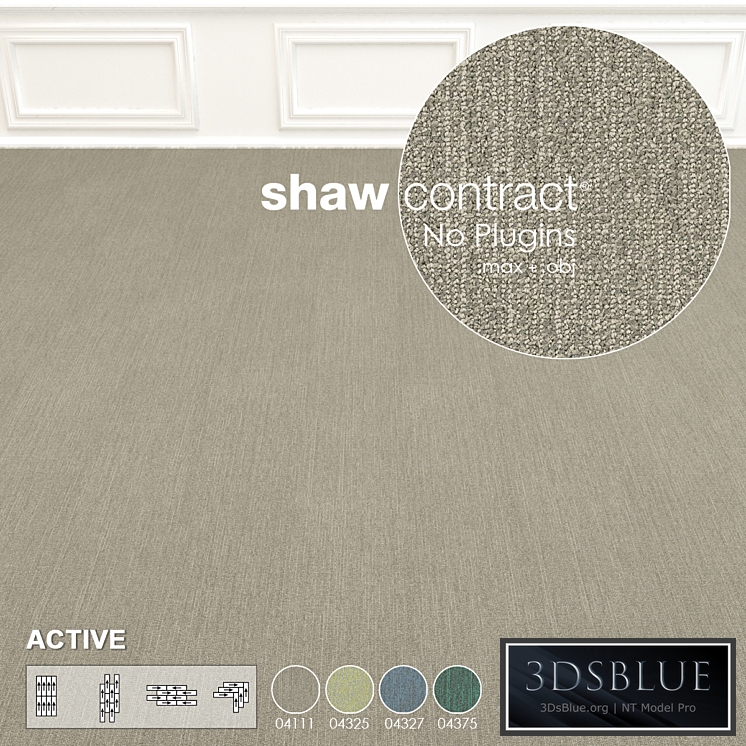 Shaw Carpet Active Wall to Wall Floor No 10
