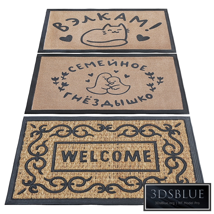 Carpet for the entrance door_2