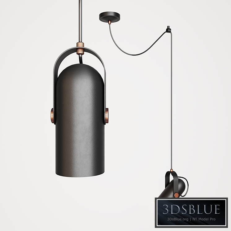 Favorite Ampolla 2007-1P