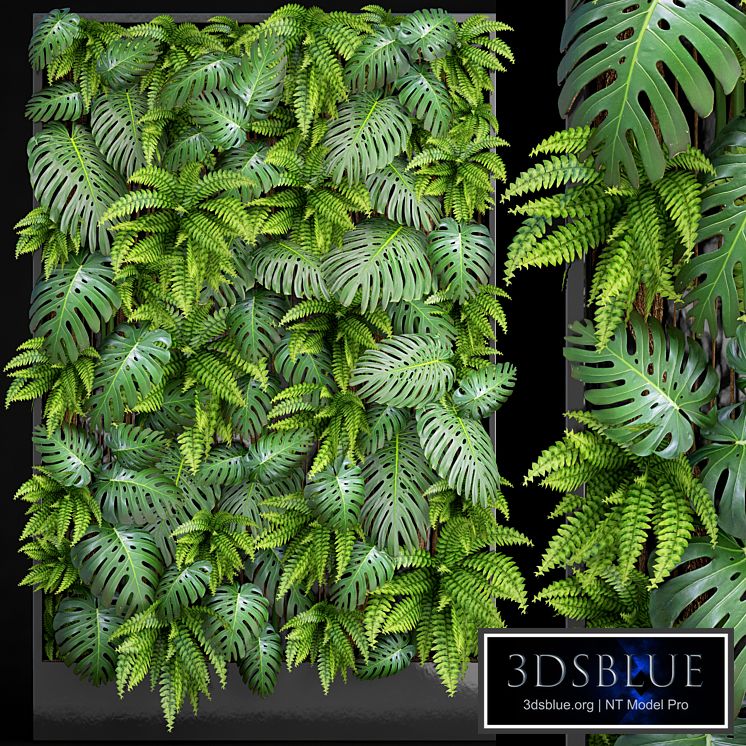 Fytowall 1. Vertical garden, phytowall, phytomodl, landscaping, green picture, bush, wall decor, branches, monstera, fern, eco, eco decor, loft