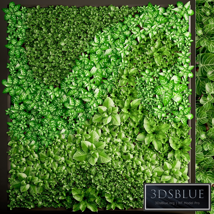 1607013.5a51f656e9204