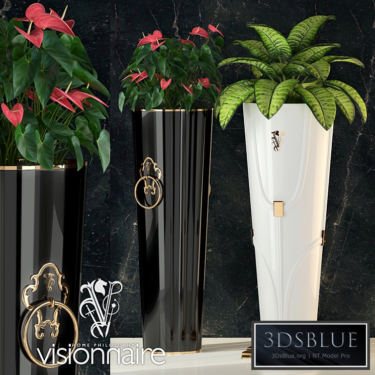 Visionnaire Windsor & Chantilly