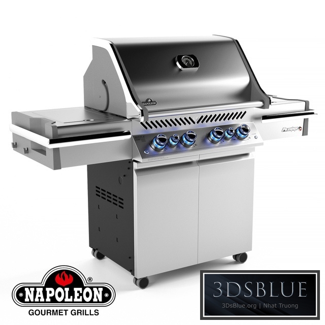 Grill Napoleon PRO 500