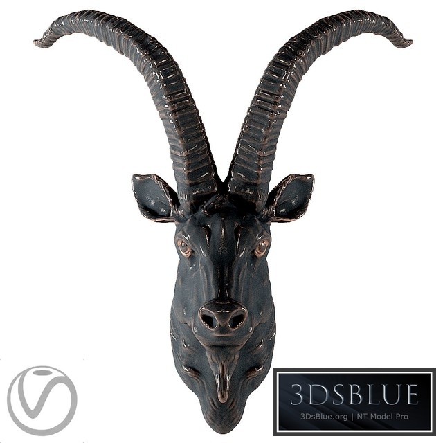 Head of a mountain goat