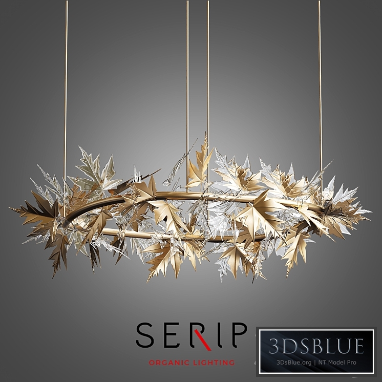 Bijout Oval Chandelier by Serip Lighting