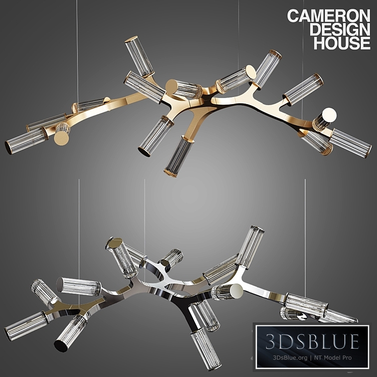 Cameron Design House HAARA