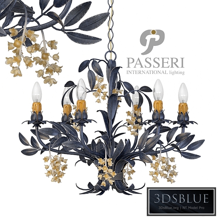 Passeri International