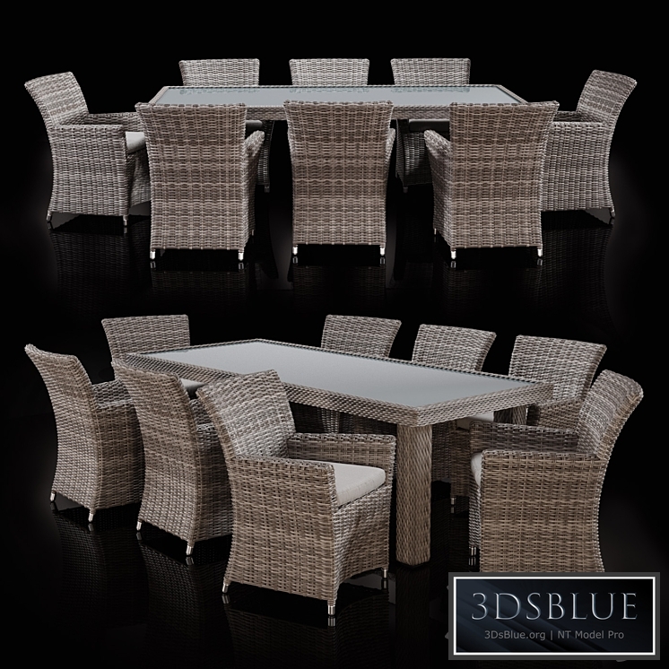 Savannah 9 Piece Outdoor Wicker Dining Set