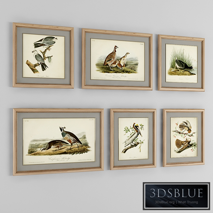 A set of posters. Birds 2