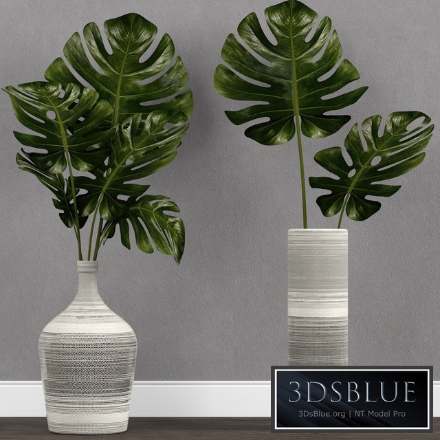 Monstera leaf in vase