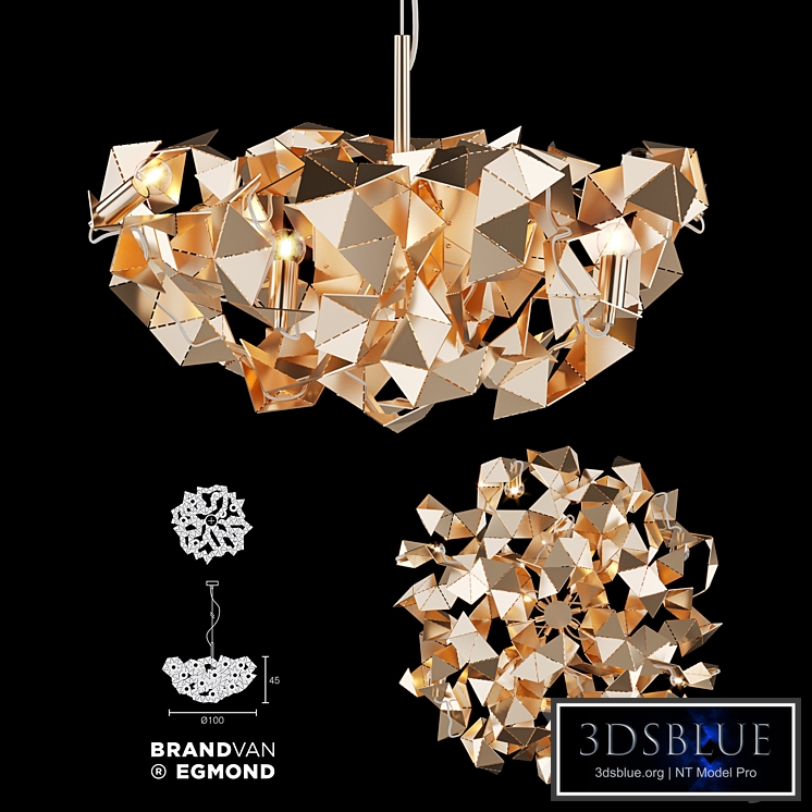 Brand Van Egmond Fractal