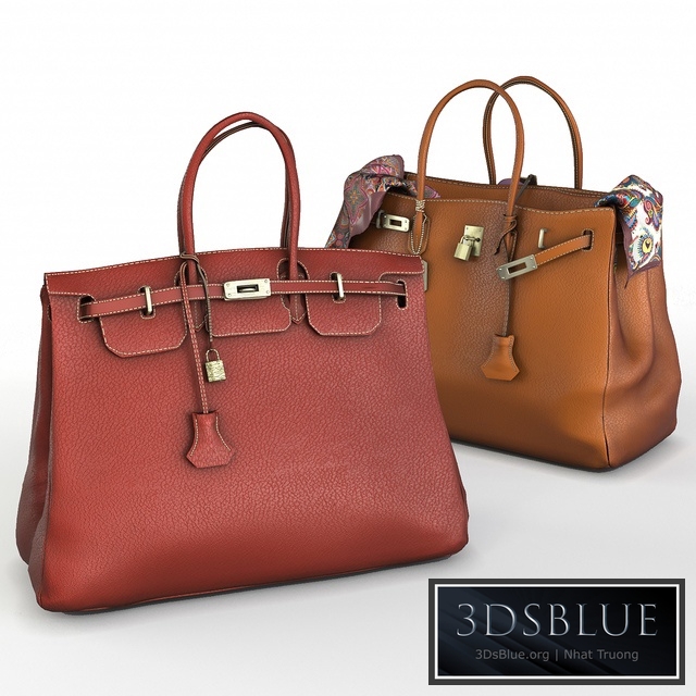 Hermes Birkin Handbags