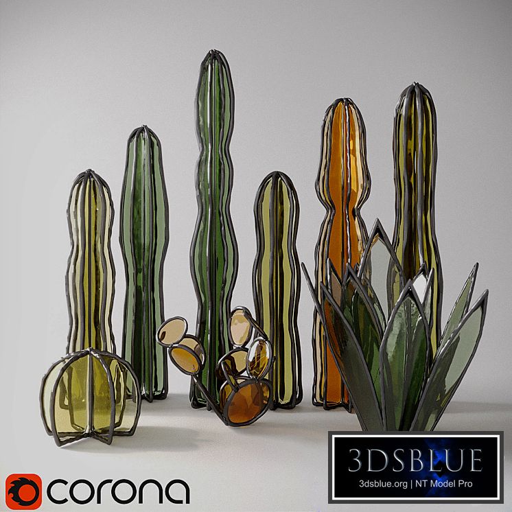 Glass cacti and succulents
