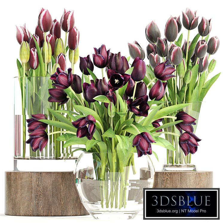 Collection of flowers 1. Tulips, flower, vase, spring flowers, decor